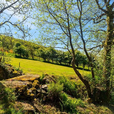 Hotel Hole House Farm Millom Esterno foto